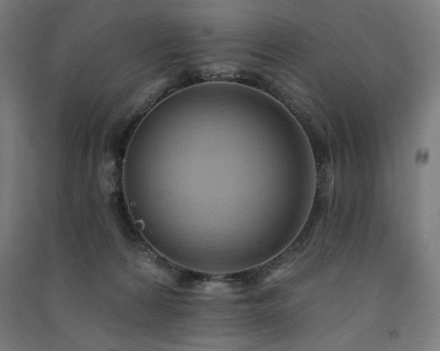 X0000091580224200708201215