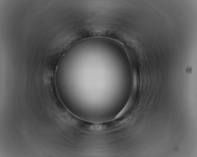 X0000091580225200708201215