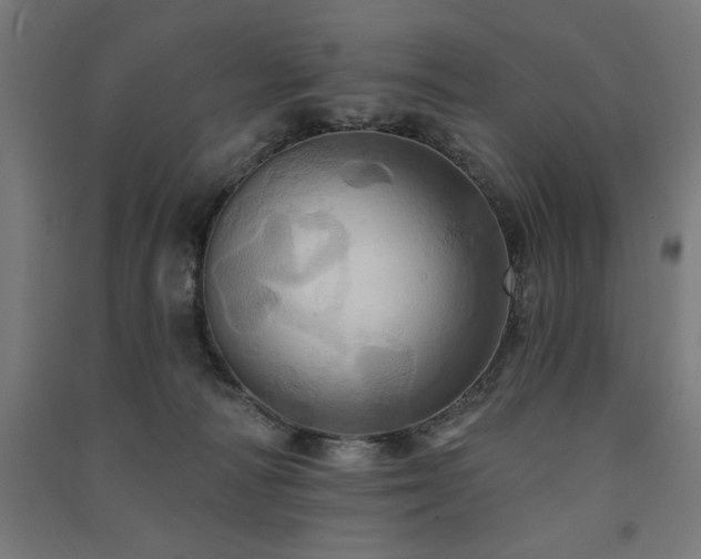 X0000091580226200708201215