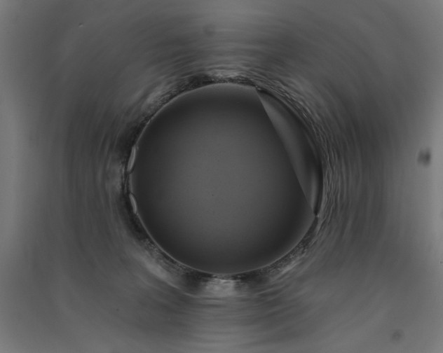 X0000091580227200708201215