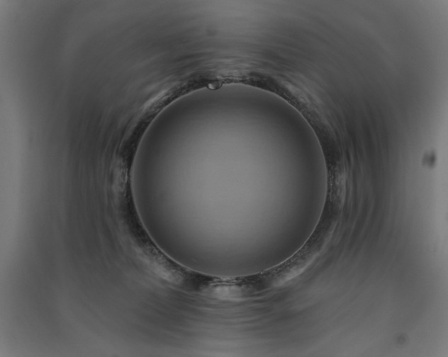 X0000091580228200708201215