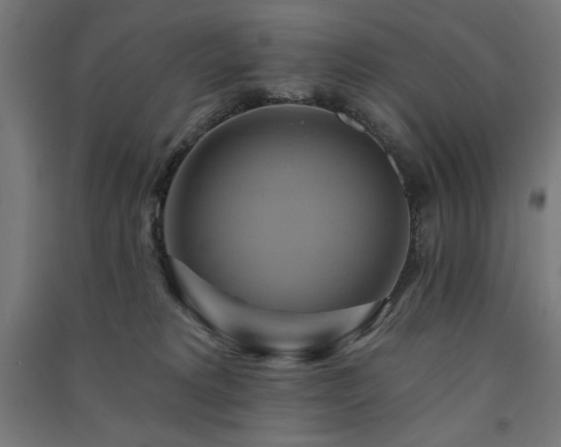 X0000091580229200708201215