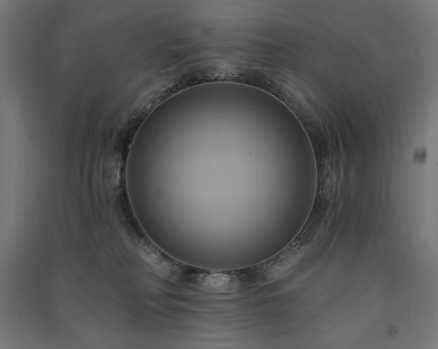 X0000091580230200708201215