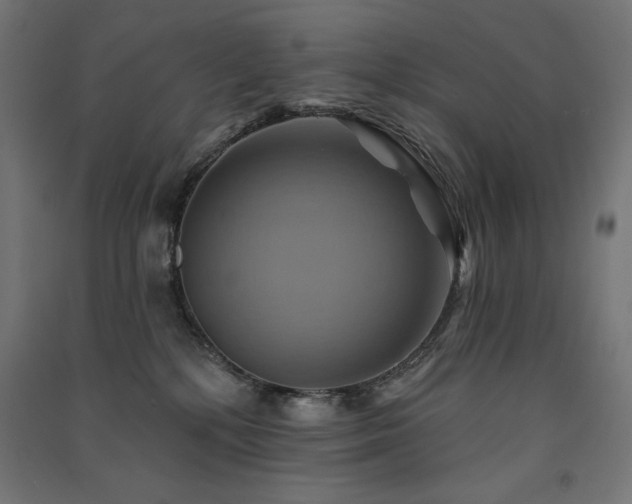 X0000091580232200708201215