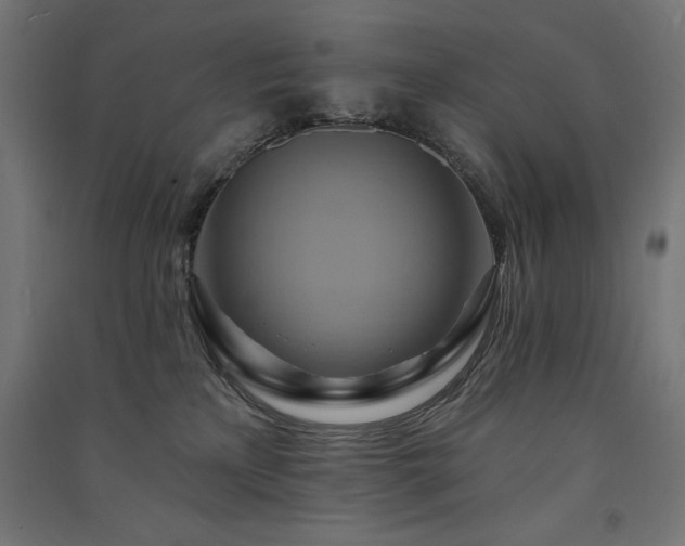 X0000091580233200708201215