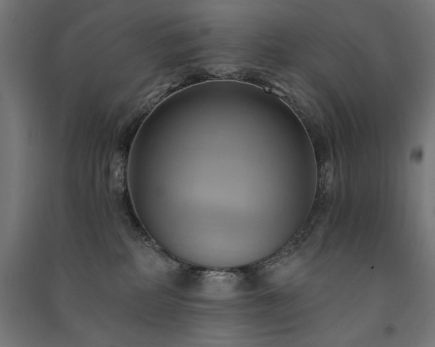 X0000091580234200708201214