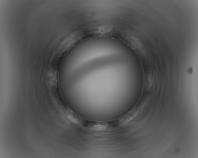 X0000091580236200708201214