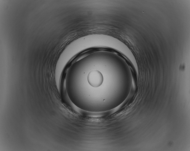 X0000091580237200708201214