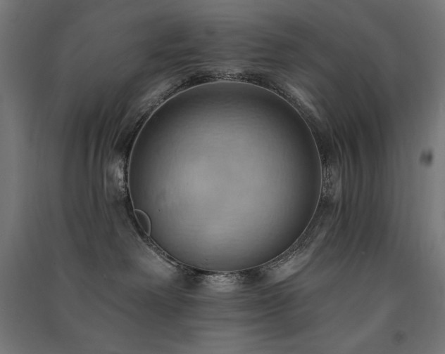 X0000091580238200708201214