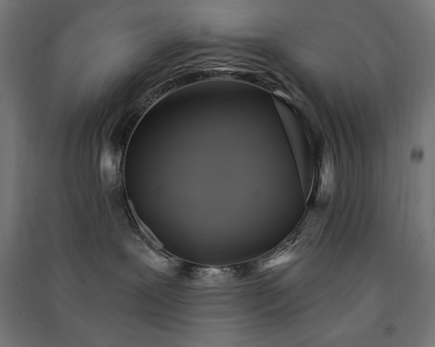X0000091580239200708201214