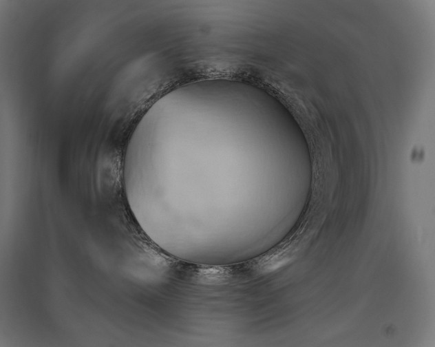 X0000091580240200708201214