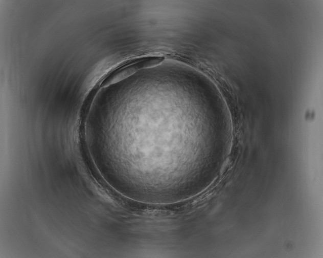 X0000091580242200708201214