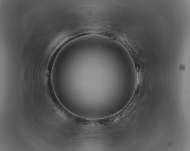 X0000091580243200708201214