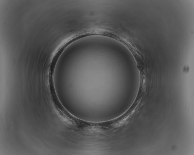 X0000091580244200708201214