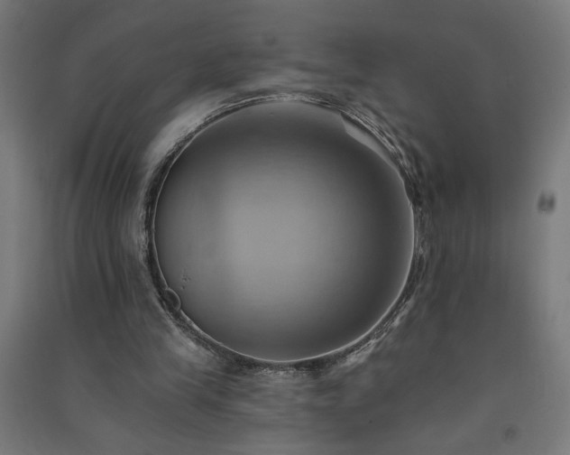 X0000091580245200708201214