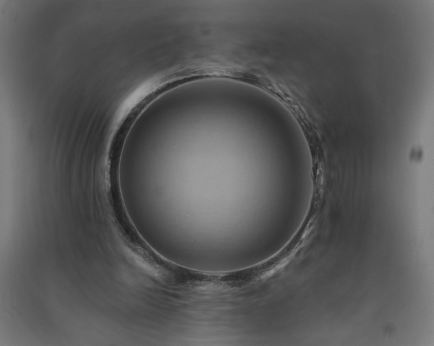 X0000091580246200708201214