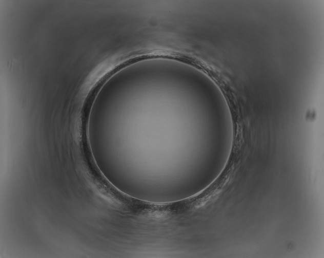 X0000091580247200708201214