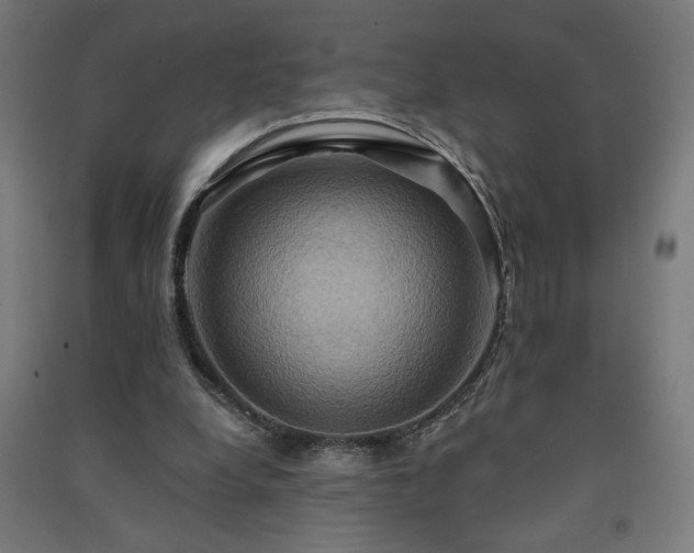 X0000091580248200708201214
