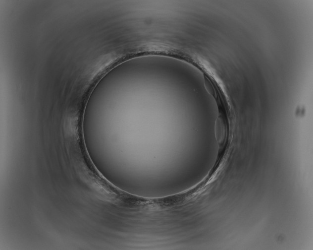 X0000091580249200708201214