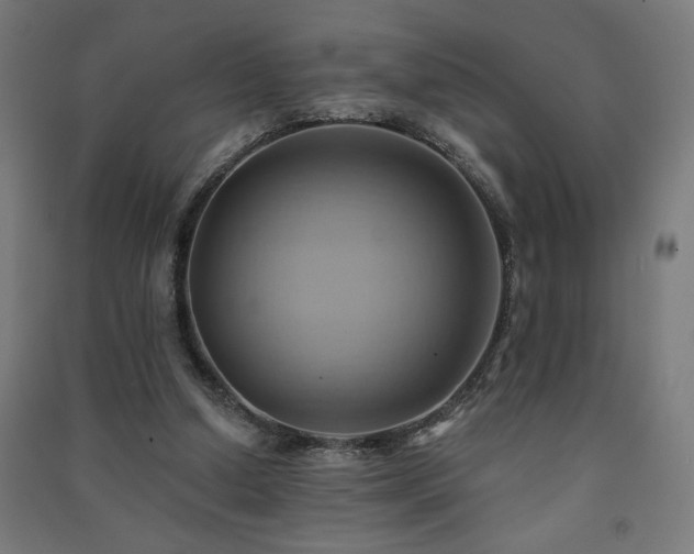 X0000091580250200708201214
