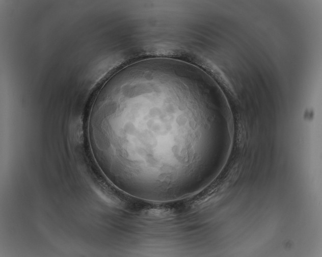 X0000091580251200708201214
