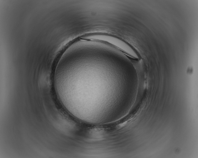 X0000091580252200708201214