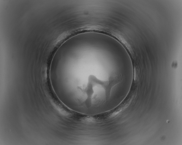 X0000091580253200708201214
