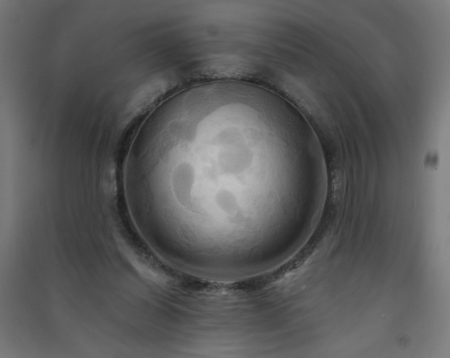 X0000091580254200708201214