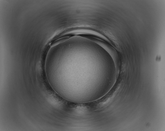X0000091580256200708201214