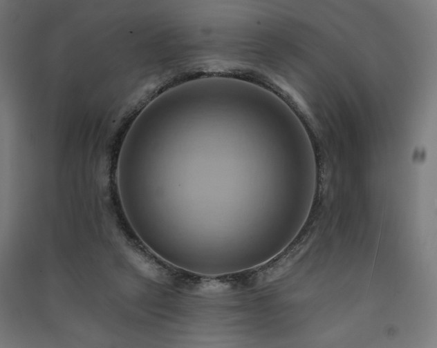 X0000091580257200708201214