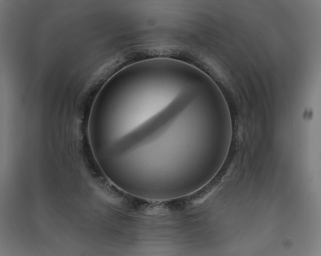 X0000091580258200708201214