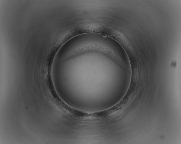 X0000091580259200708201214