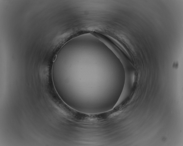 X0000091580260200708201214