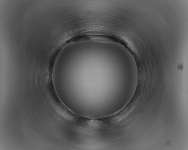 X0000091580261200708201214