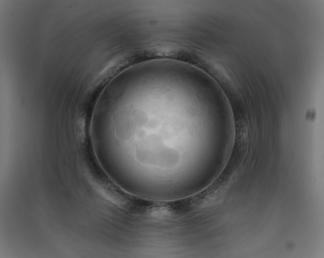 X0000091580262200708201214