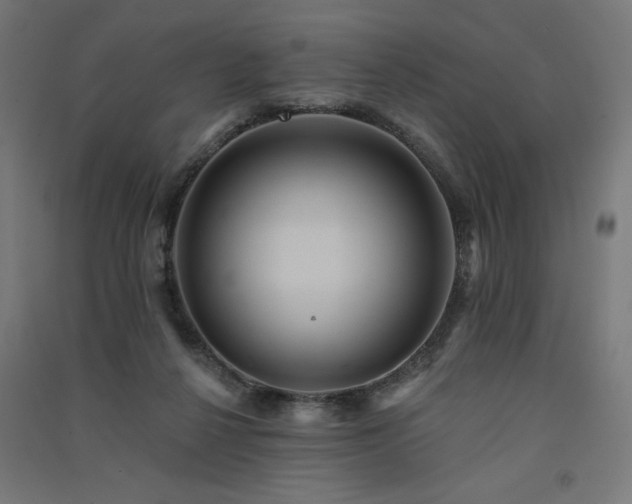 X0000091580264200708201214