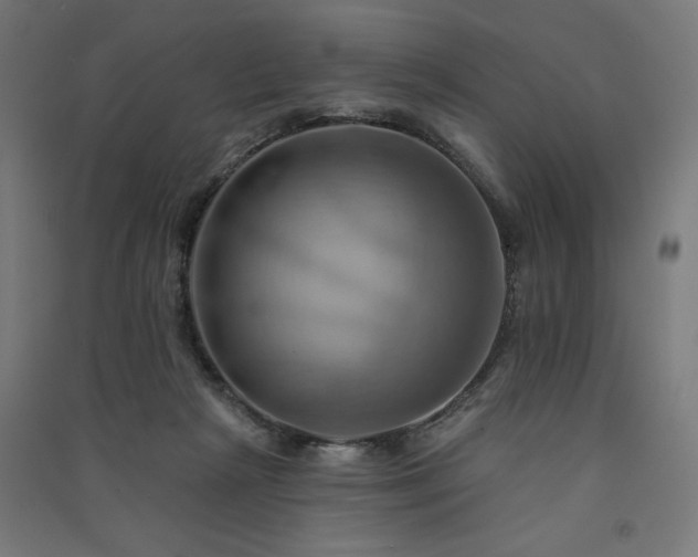X0000091580265200708201214