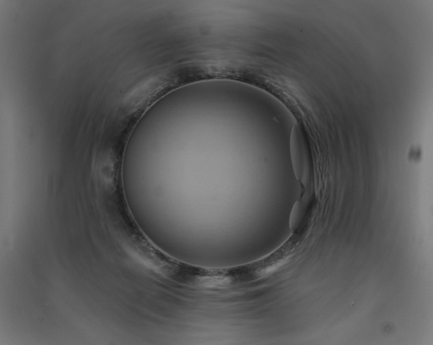 X0000091580266200708201214