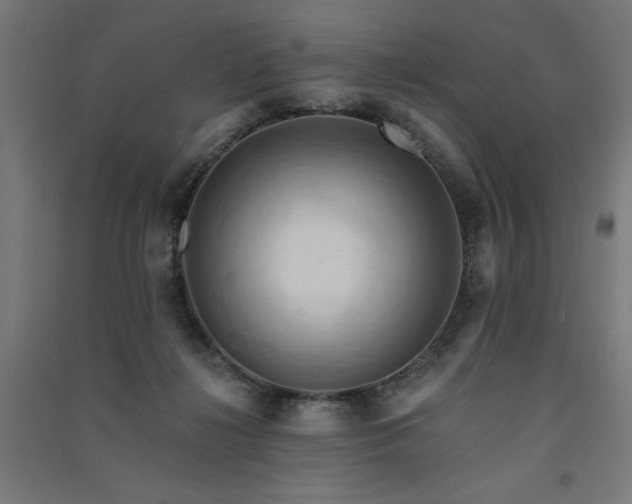 X0000091580268200708201214