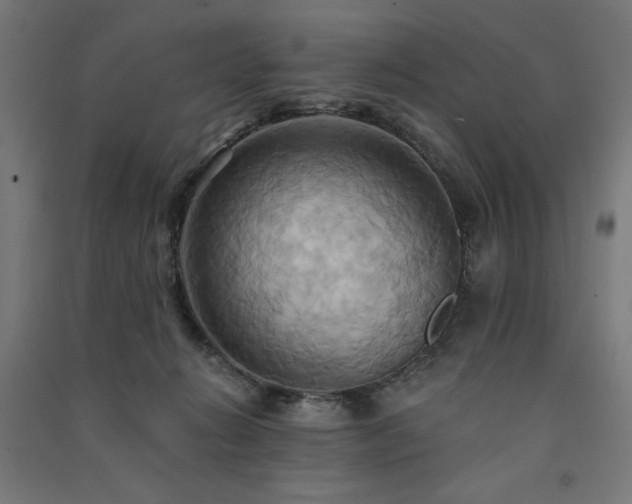 X0000091580270200708201214