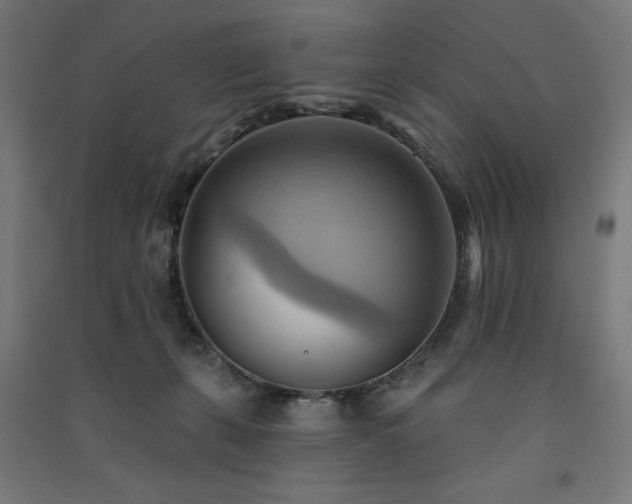 X0000091580271200708201214