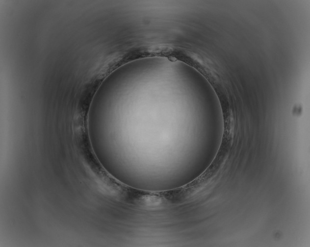 X0000091580272200708201214