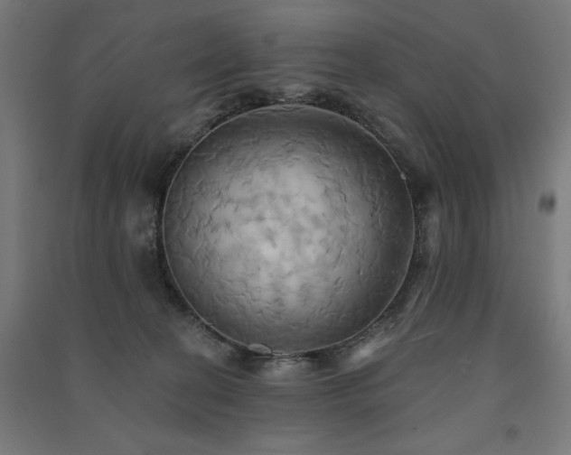 X0000091580274200708201214