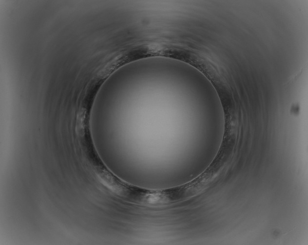 X0000091580275200708201214