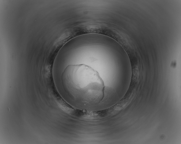 X0000091580278200708201214