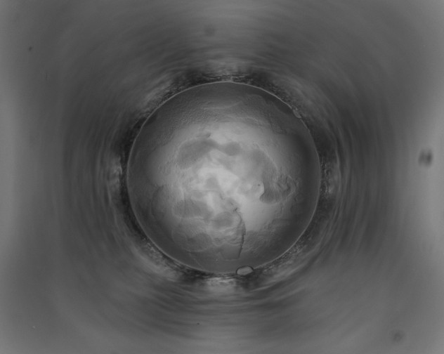 X0000091580279200708201214