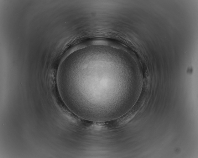 X0000091580280200708201214