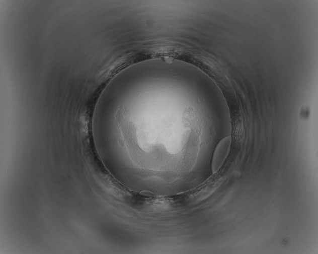 X0000091580282200708201214