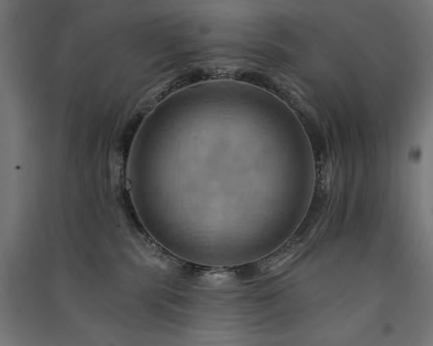 X0000091580283200708201214