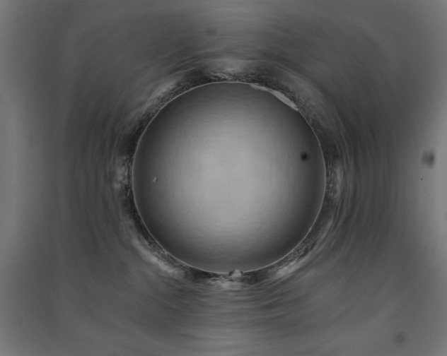 X0000091580284200708201214